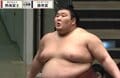 「あれ、塩がない…？」熱海富士、立ち合い直前に“うっかり”珍事 まいたはずの塩が…思わず手元を二度見