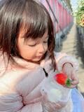  川崎希、夫・アレクや子ども達と訪れたいちご狩り「たくさん赤くて大きいの見つけて」 