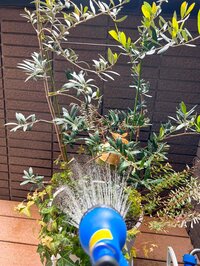 堀ちえみ『いろいろと準備万端 寝込む想定でいた』