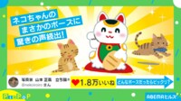 【映像】猫が披露した変身ポーズ（全身カット）