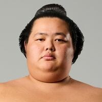 琴櫻