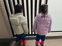 石田あゆみ『自己判断日。』