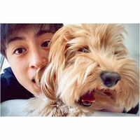 白濱亜嵐の愛犬とふれあう姿に「かわいすぎる」「犬になりたい」とファン悶絶