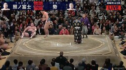 元琴欧洲・鳴戸親方、7敗7休の照ノ富士をピシャリ「今の姿はみんな見たくない」