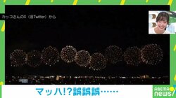 華麗な花火大会が秒で終了？ 撮影ミスから生まれた“珍動画”にツボる人が続出「かえって嬉しい」「これはこれで好き」