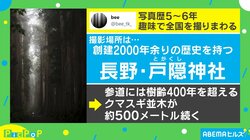 異世界に吸い込まれそう…参道で撮った“神秘的な一枚”に絶賛の声