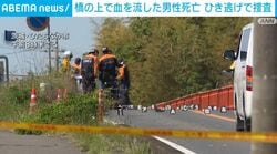 橋の上で血を流した男性死亡 ひき逃げで捜査