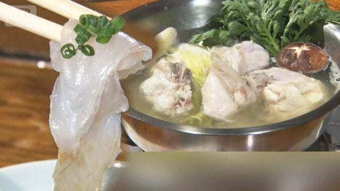 「フグの王様」トラフグ減少　漁獲管理導入なら観光に影響も　「平等に」山口県が要望 1枚目