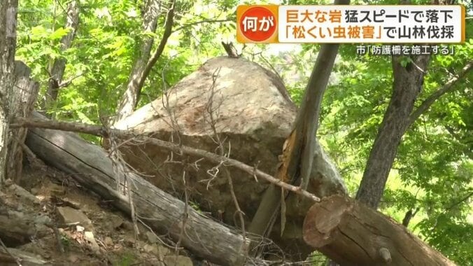 落石の可能性がある岩が今も