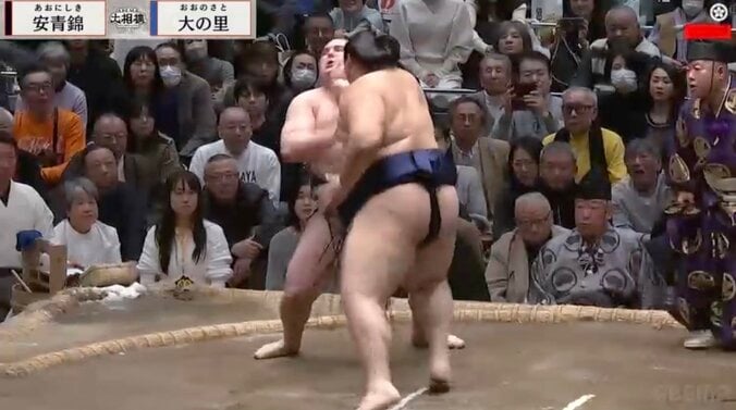 大の里が驚異のパワーで安青錦に“完全勝利”