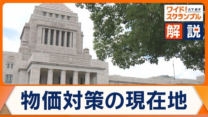 当面“給付に一本化”…与党から疑問の声も “つなぎ”の「消費減税」財源は？ 1枚目