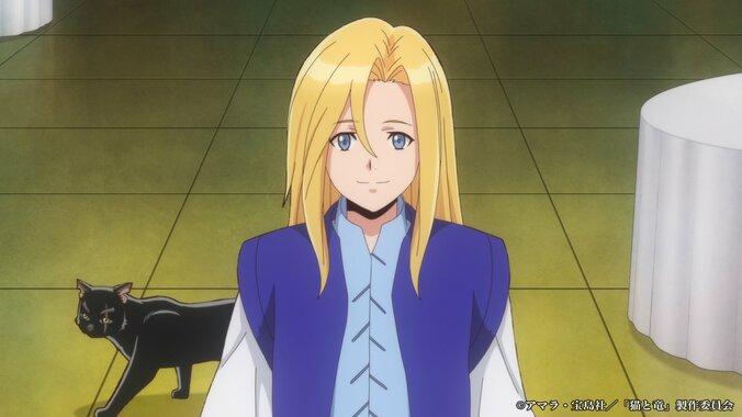 TVアニメ『猫と竜』ピックアップキービジュアル2が公開！安済知佳や種崎敦美らキャスト情報も解禁 4枚目