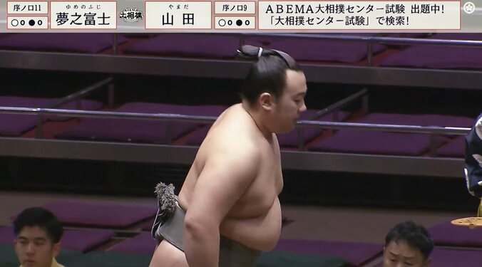 序ノ口十一枚目・夢之富士（伊勢ヶ濱）