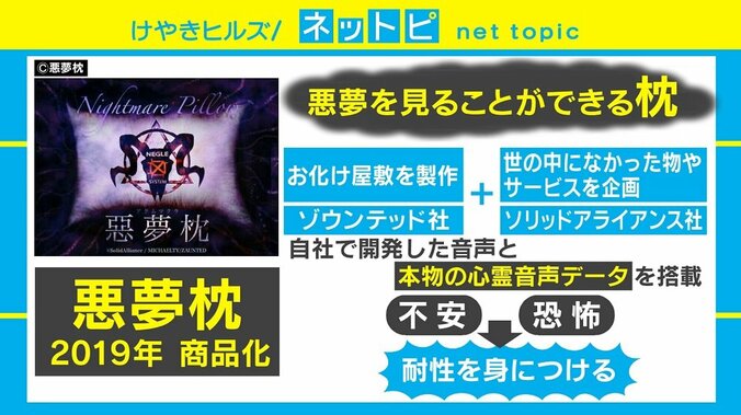 “悪夢を見ることができる枕”商品化へ、不安・恐怖克服に一役？ 1枚目