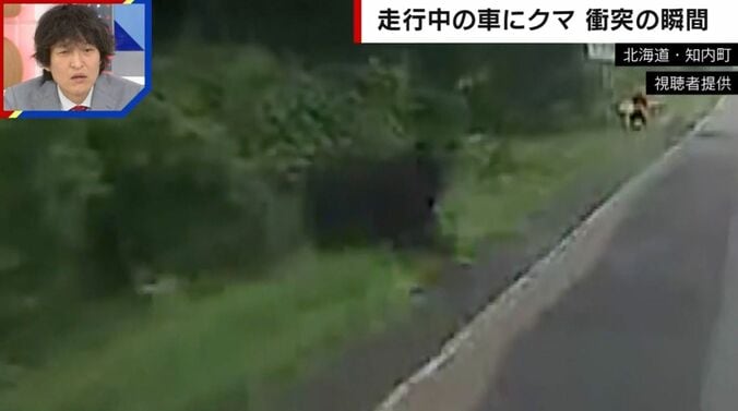 走行中の車にクマが突っ込む“恐怖の瞬間” バンパーには牙の跡が…乗車男性「生身だったらやばかった」 4枚目