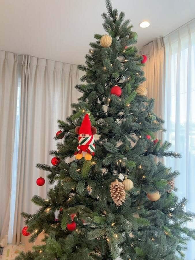  川崎希、自宅に設置したクリスマスツリーを公開「めちゃめちゃ可愛い」  1枚目