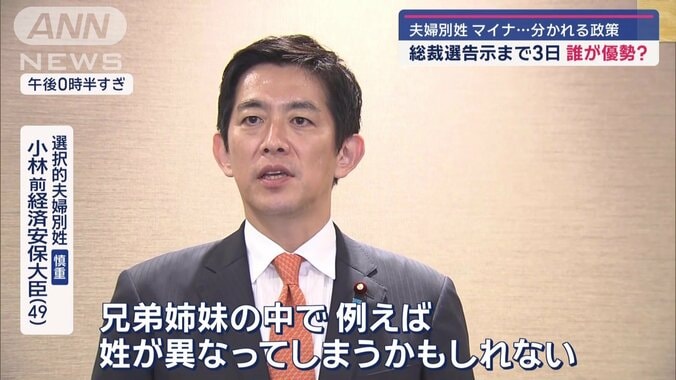 自民総裁選告示まで3日　初の女性候補・高市氏の勝算は？ 12枚目