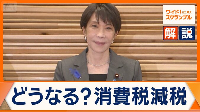 消費税減税　約10兆円の財源は？　深まる溝…意見まとまらず与党に焦りも 1枚目