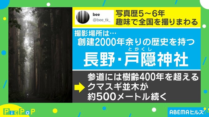 異世界に吸い込まれそう…参道で撮った“神秘的な一枚”に絶賛の声 1枚目