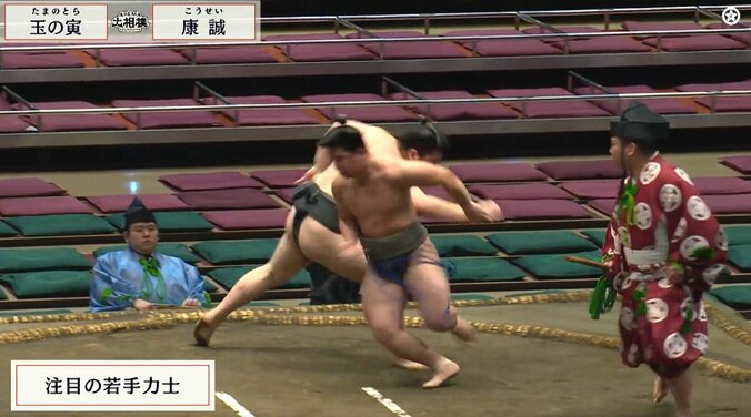 「この可愛い力士は誰?」「だいぶ満喫してるw」カメラが捉えた熱烈ファンの応援風景が話題 ツッコミと共感の声相次ぐ 5枚目
