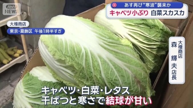 葉物野菜の生育に影響も