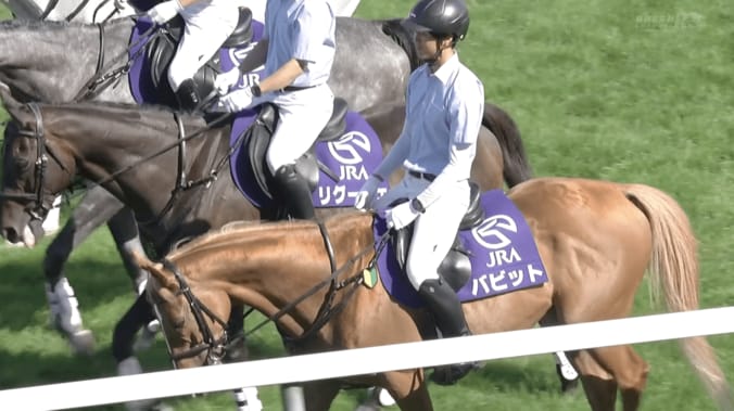 たてがみと尻尾に注目！ 尾花栗毛の人気誘導馬“どアップ姿”