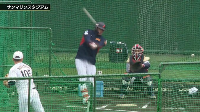 村上宗隆、豪快な柵越えにどよめきと拍手 ダルビッシュから“特大弾”翌日もファン沸かせる「軽く打ってるのに」 1枚目