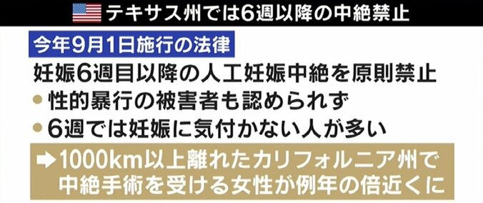 ひろゆき氏「できちゃった婚とレイプは違う」妊娠中絶“反対派”と激論 4枚目