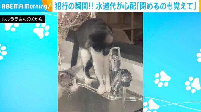 「えるる」くん