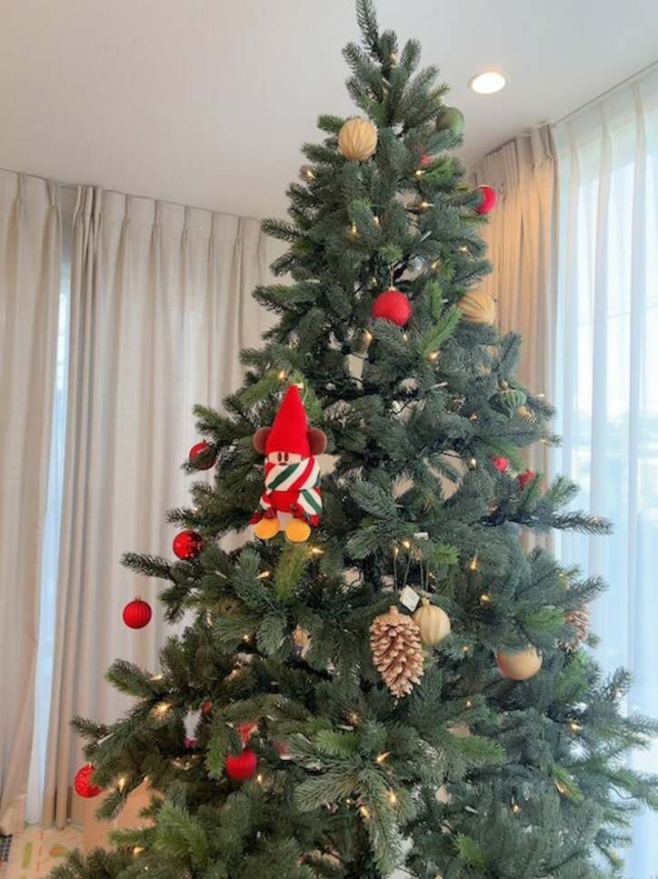 川崎希、自宅に設置したクリスマスツリーを公開「めちゃめちゃ可愛い」 