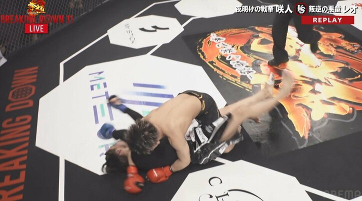 【写真・画像】　2枚目