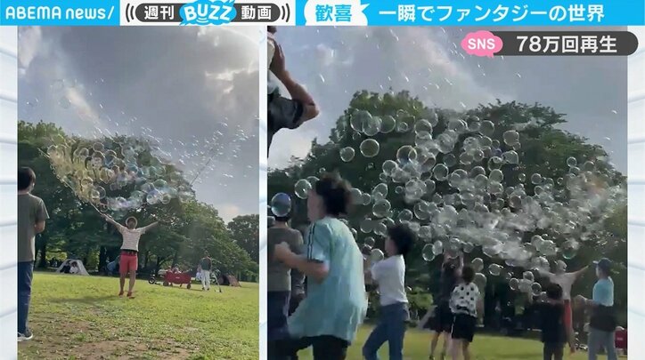 「一瞬で幸せになった」公園の家族連れが歓喜！ 研究家が創造したファンタジーの世界に反響