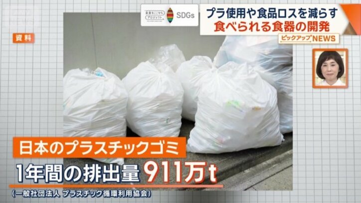 国内で1年間に排出されるプラスチックごみ911万トン