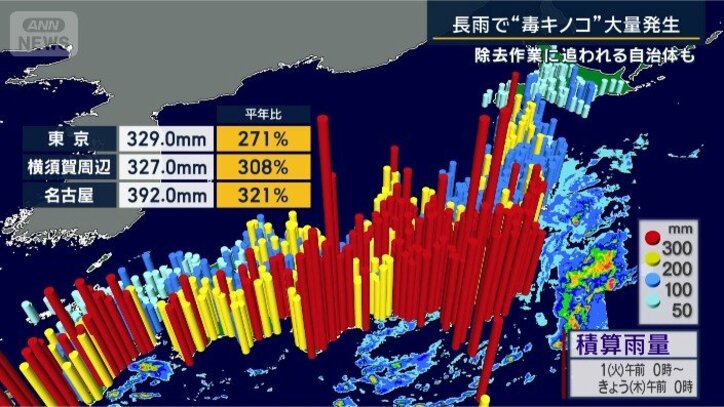 積算雨量