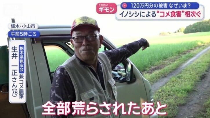 毎朝、イノシシの見回りをしている