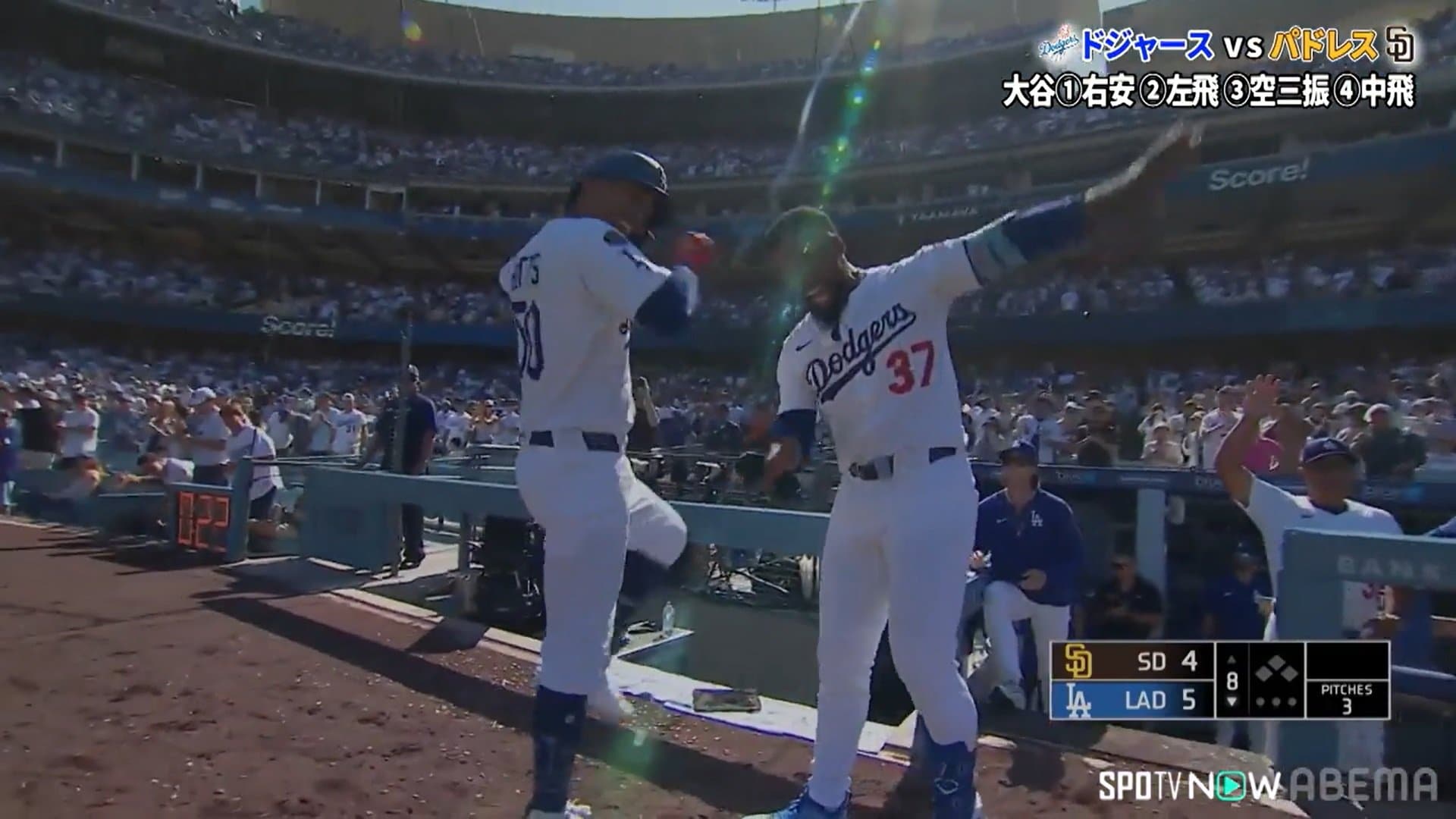 【写真・画像】　2枚目