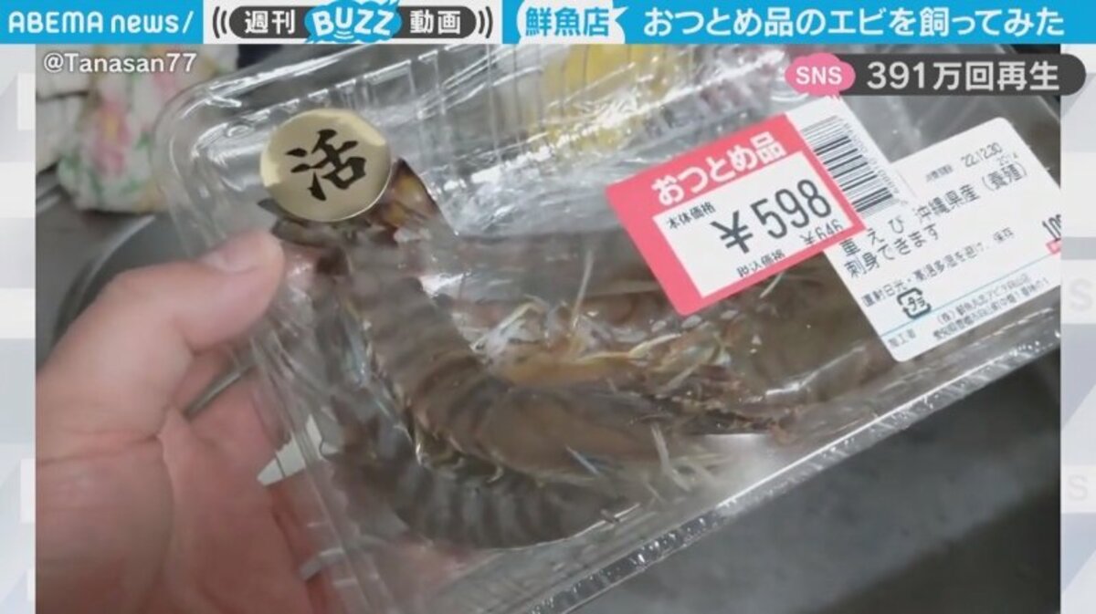スーパーで買った“おつとめ品”の車エビのはずが…その後の“驚きの展開
