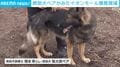 救助犬ペアがみた イオンモール爆発現場