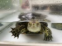 笠井信輔『退院後の大事件』