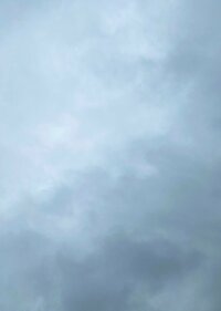 堀ちえみ『子どもたちの部屋の準備』