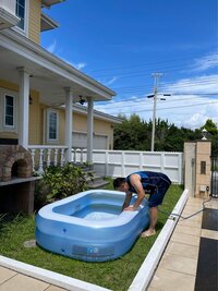 花田虎上『今年は大より小』