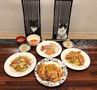 藤あや子『昨日の晩ごはん』