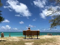 松本人志、Twitterでの“暑中見舞い”が大喜利状態に　コラージュ画像が続々登場