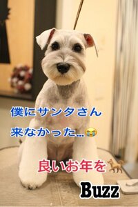 岡田祐佳『切り替えはやっ(^^;;ｱｾ』