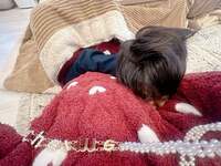 辻希美『今日は』