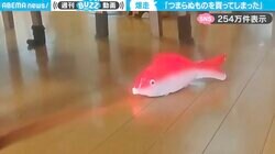 「つまらぬものを買ってしまった」軽快な音楽を鳴らしながら爆走する“魚型オモチャ”に「めっちゃほしい…」「床掃除してくれたら便利だなぁ」と反響