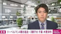 ドーベルマン4頭が逃亡 けが人情報なし 千葉・木更津市