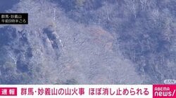 群馬・妙義山の山火事 ほぼ消し止められる