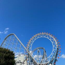 堀ちえみ、孫と寛ぐために改装している自宅「気合い入ってます」 