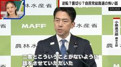 小泉進次郎氏を直撃「この責任は自分が背負って選挙の結果を待つ」「殺害予告…行き過ぎは二度と起こしてはならない」ジャーナリストが解説